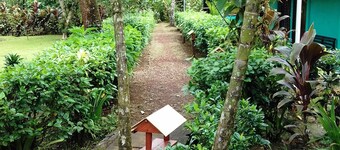 Come &  Feel Like At Home  With A Real Costa Rican Family!!