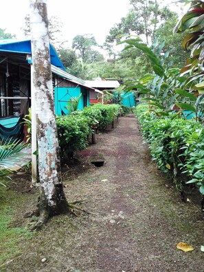 Terrain de l’hébergement 