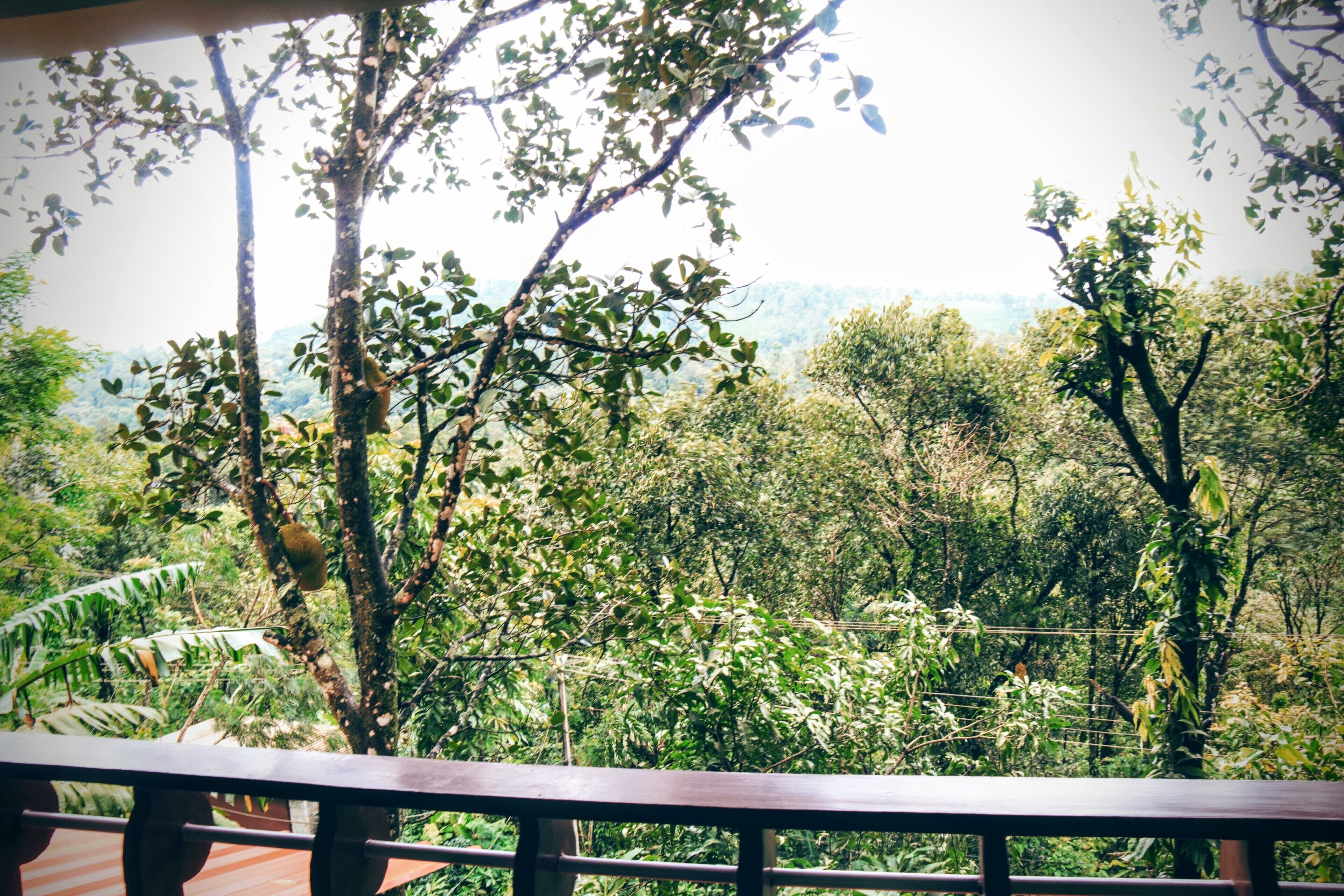 Kudils -Homely budget stay in Idukki