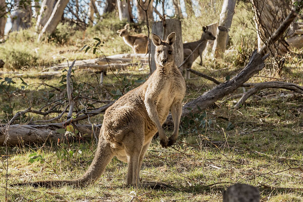 Forty Nine Post Office Lane — image 29