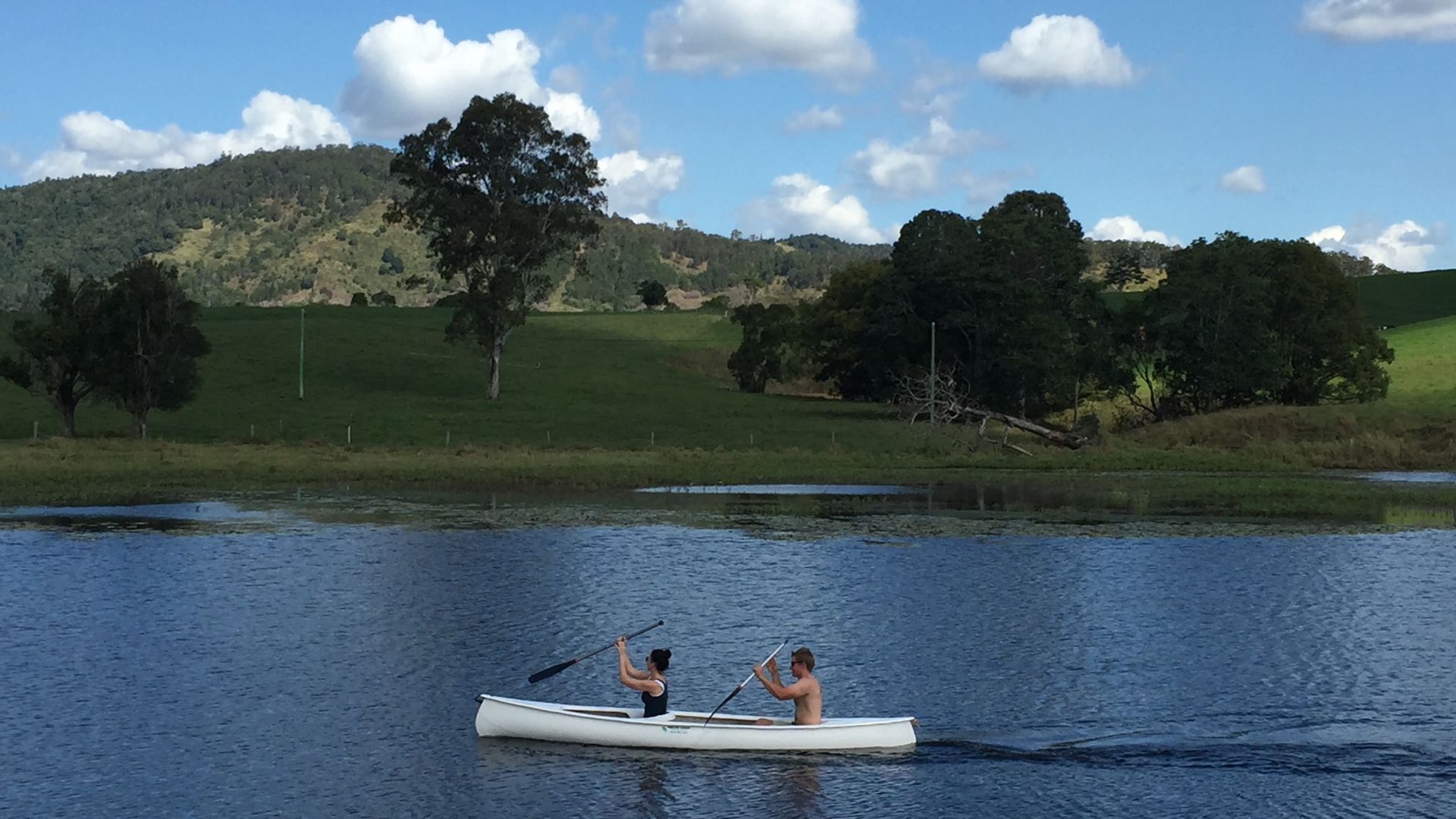 Cedar Brae Country Stay