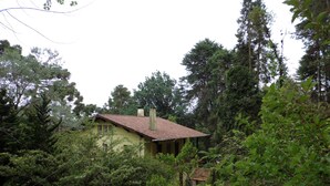A rustic house with a tiled roof, surrounded by dense greenery and trees. - Charming Swiss house! (V Matilde)
