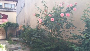Un jardín con flores rosadas y un camino empedrado.