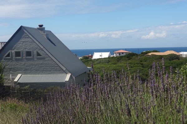 On the greenbelt, overlooking the ocean