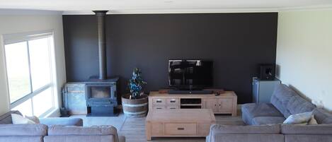TV, fireplace, DVD player, toys