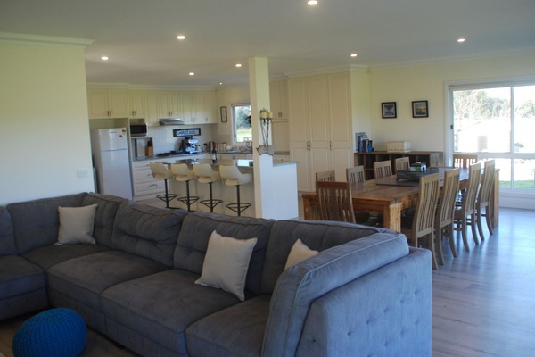 TV, fireplace, DVD player, toys