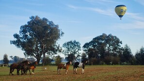 Fitness facility - Jackaleah Farm  Stay Oxley (Oxley)