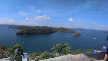 Vista desde la propiedad