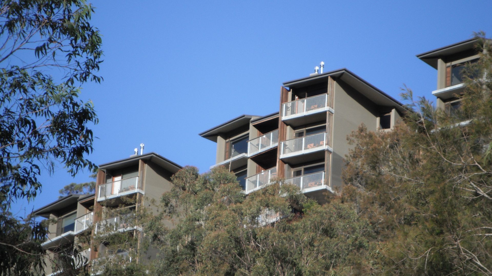 Westhaven at Binna Burra - One Bedroom Studio