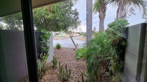 Vista desde una ventana que da a un jardín con diversas plantas, una palmera y una carretera al fondo.