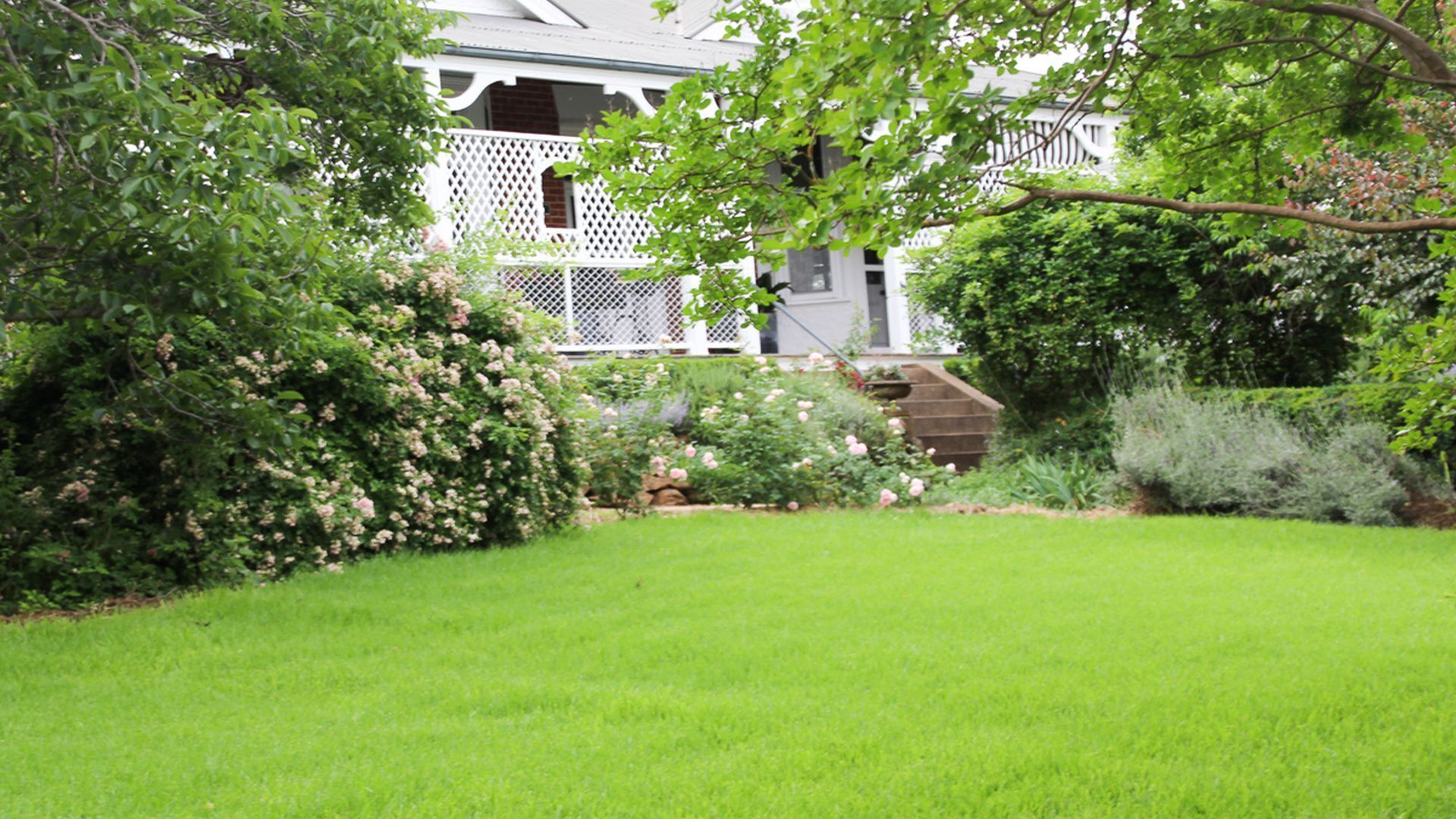 House & Garden