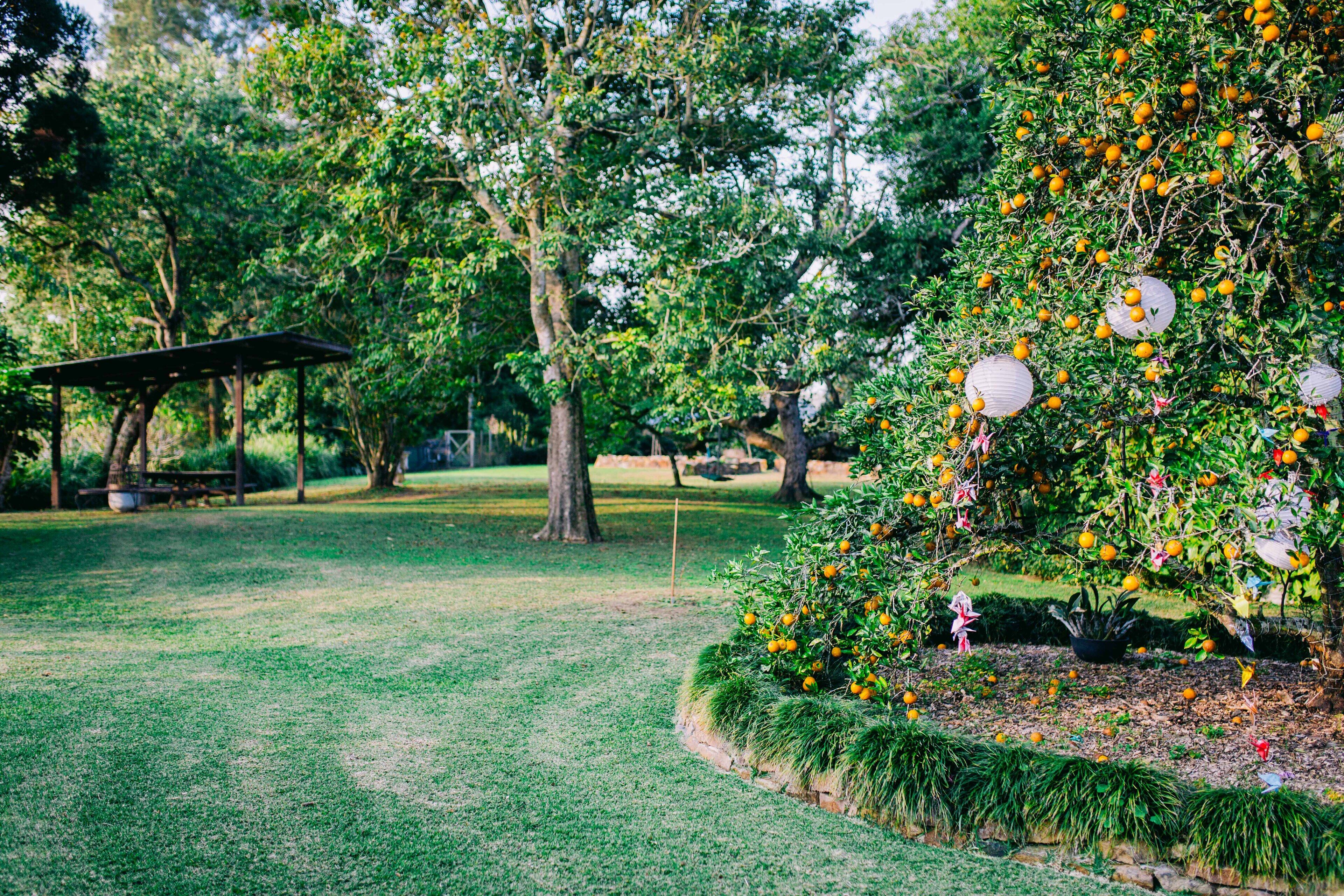 Un parco con un gazebo, un albero con frutti arancioni e un prato curato.