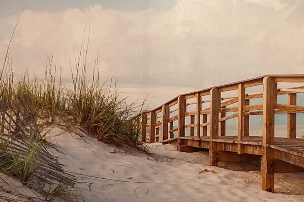 Beach - Crescent Head's Best (Crescent Head)