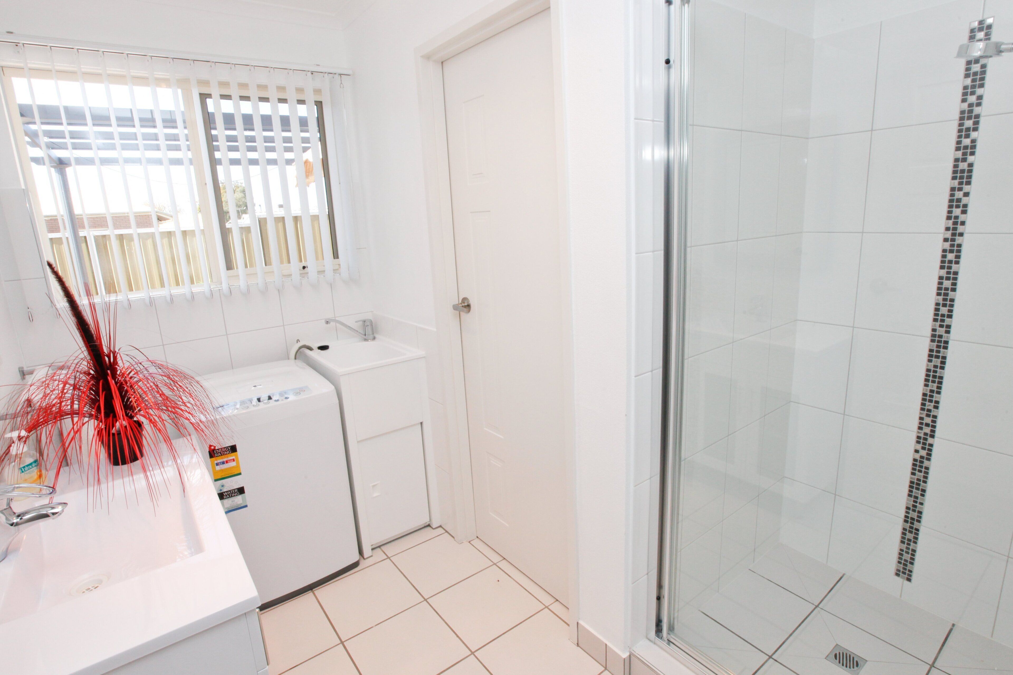 Shower, hair dryer