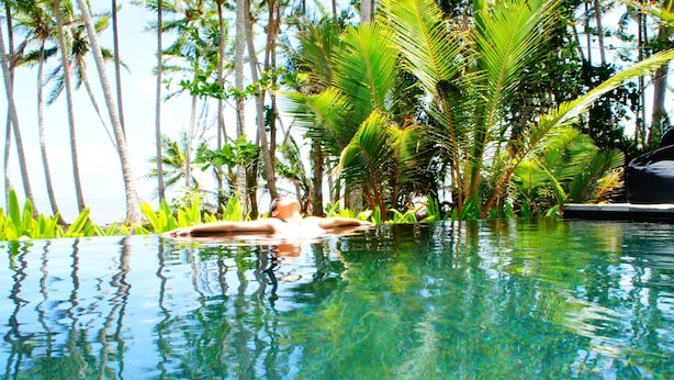 A clear pool surrounded by tall palm trees. - The Edge 13 Marine Parade, Newell Beach QLD 4873 (Newell)