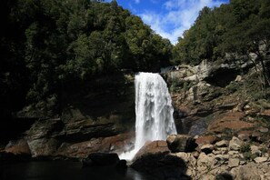 Miscellaneous - Home with stunning River and Ocean views. Pet-friendly (Mokihinui)