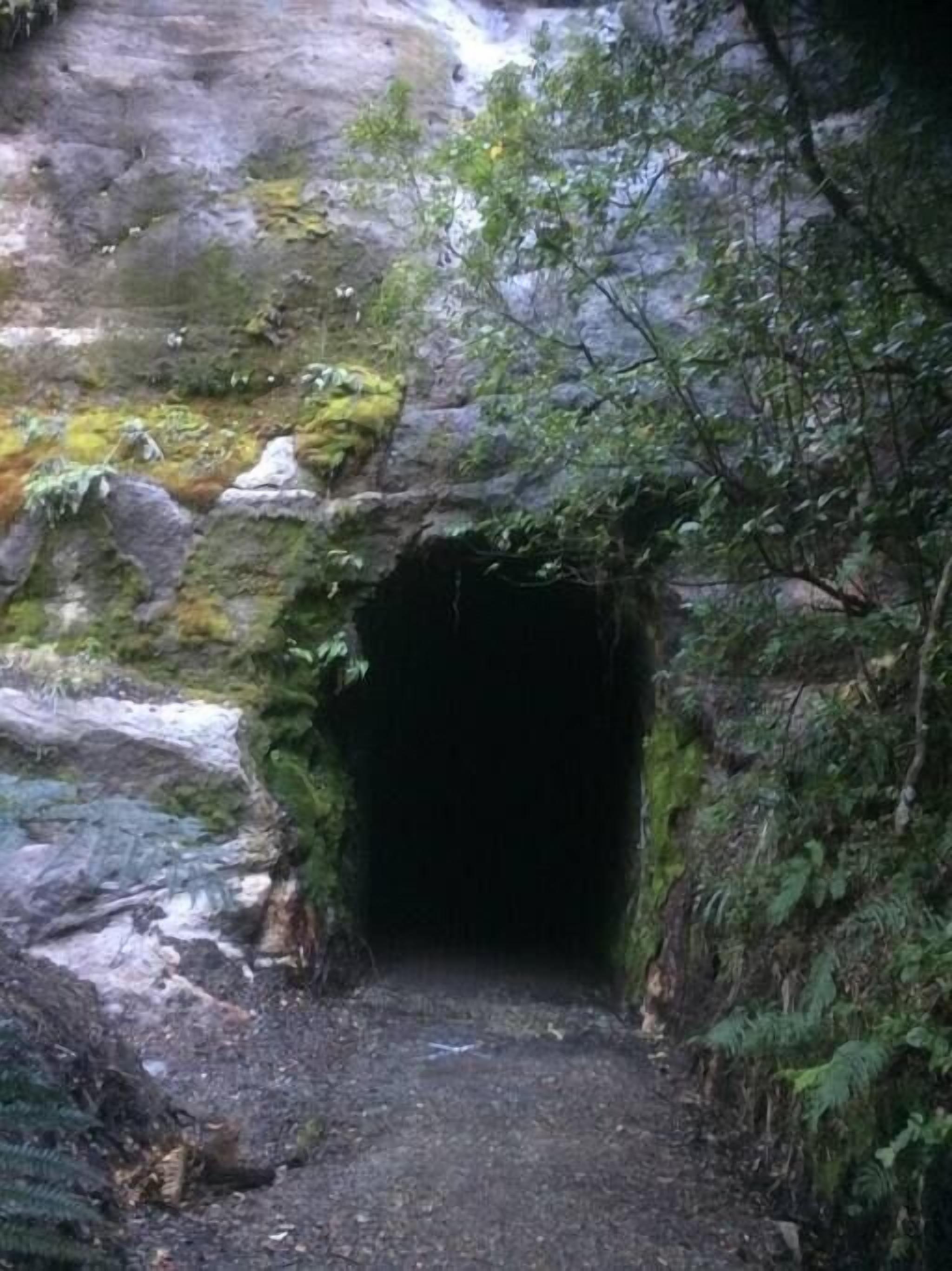 Entrada estreita e rochosa para uma gruta, rodeada por vegetação densa.