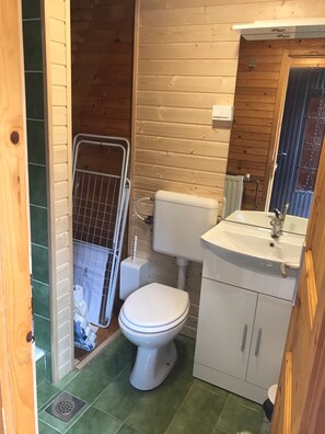 Bathroom features a toilet, sink, and mirror, with a window and green tile flooring.