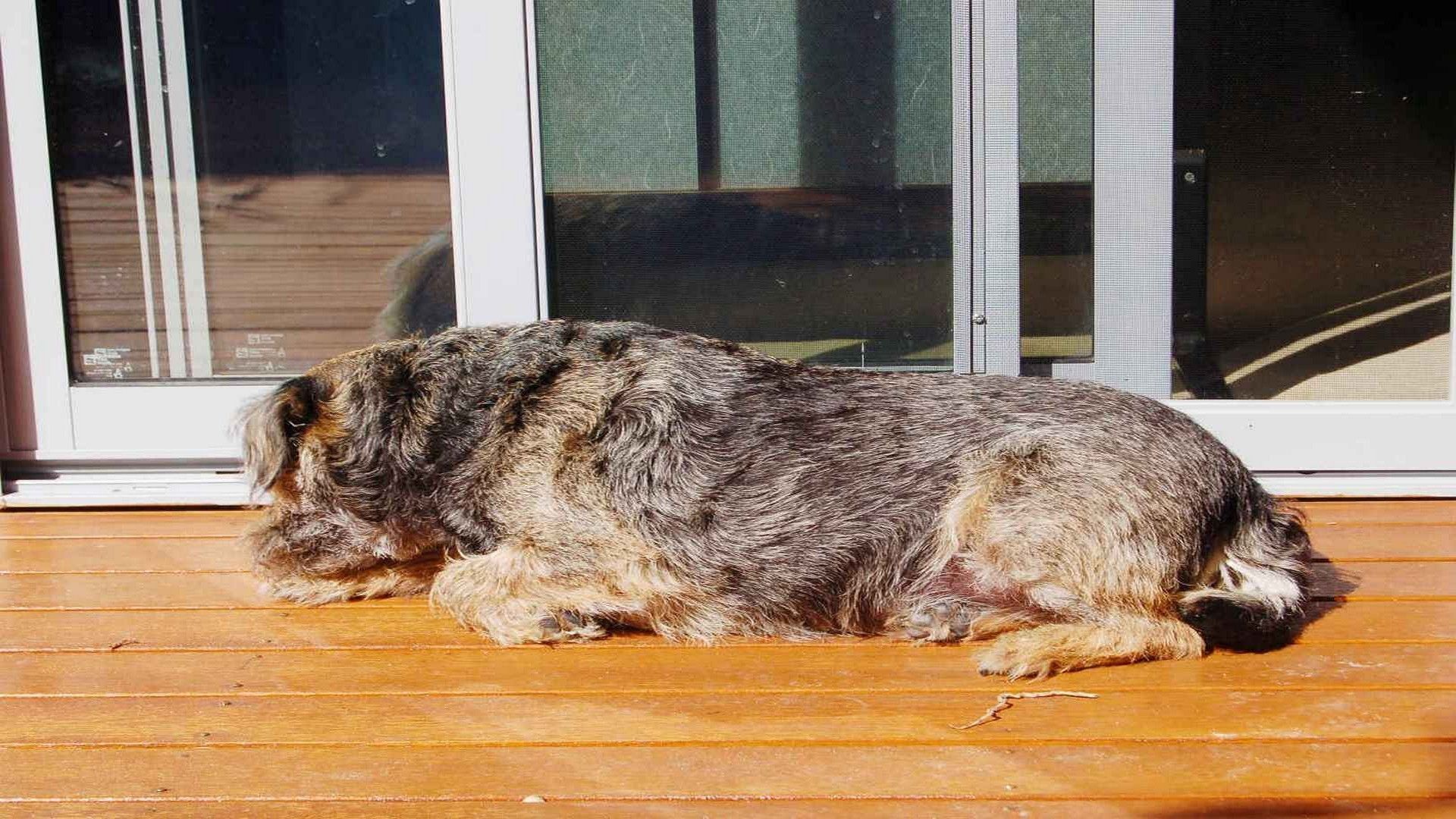  2YO Unique 2Bed Home 100M to Beach — image 4