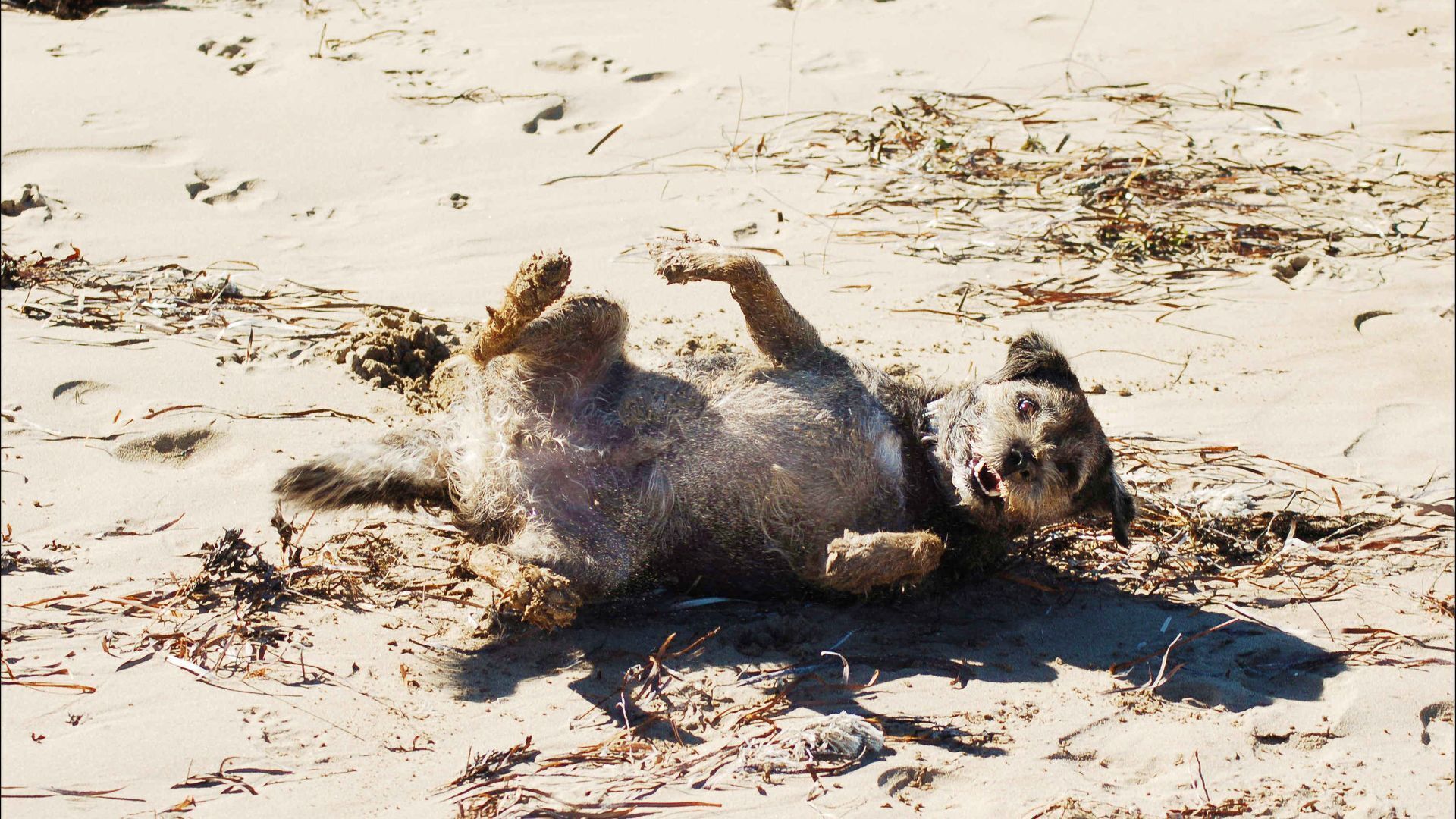  2YO Unique 2Bed Home 100M to Beach — image 5