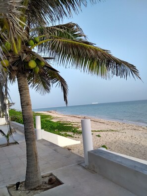 Beach - Vacational Department in Yucatan. (Progreso Yucatan)