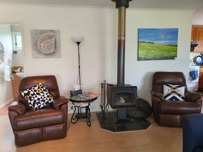 Una televisión, una chimenea, un reproductor de DVD, libros