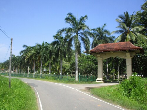 Feel at home at this eco lodge among lush green woods with soothing  massage 