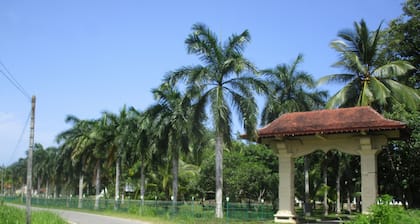 Feel at home at this eco lodge among lush green woods with soothing massage
