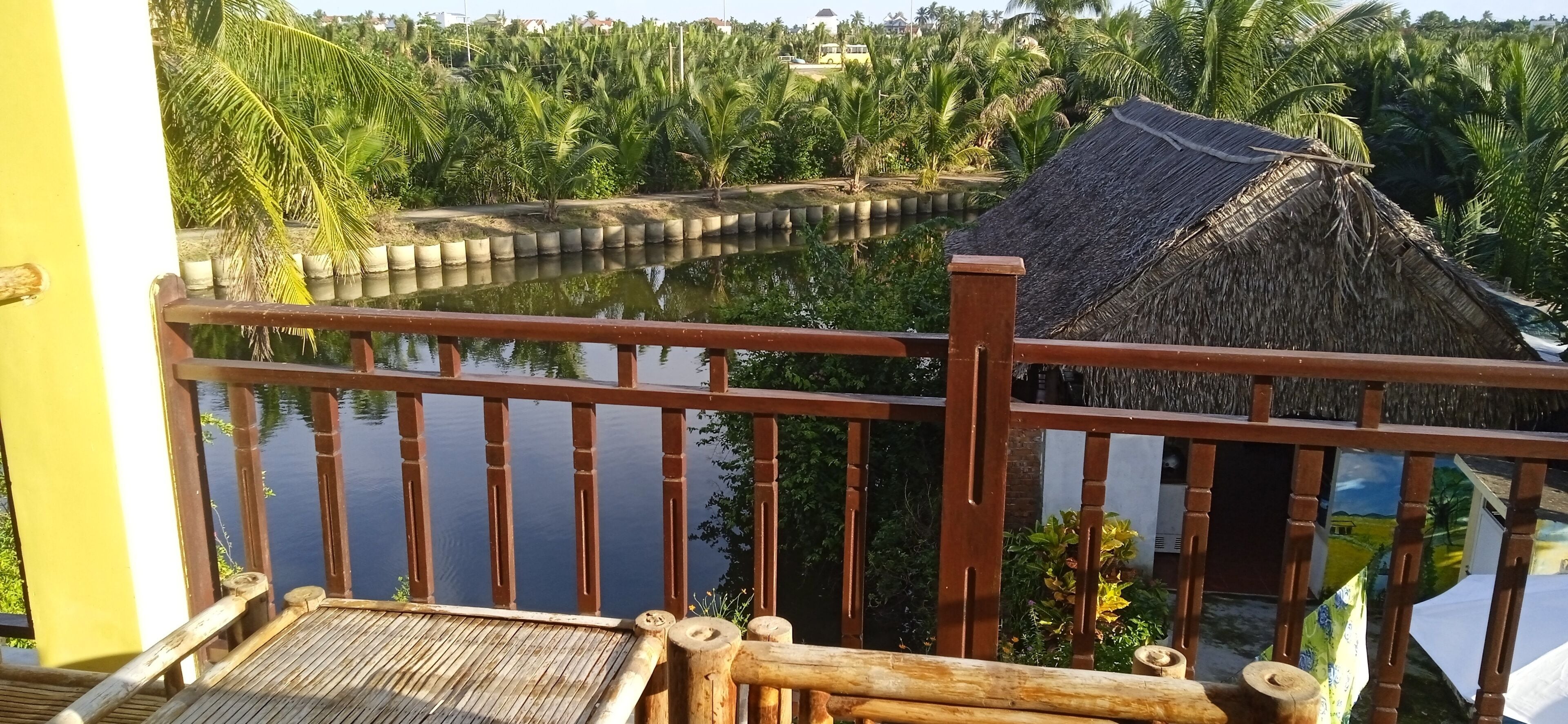 Lake, Coconut forest, reverside View 