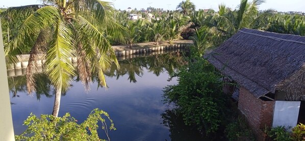 A calm water body with palm trees and a thatched-roof structure.