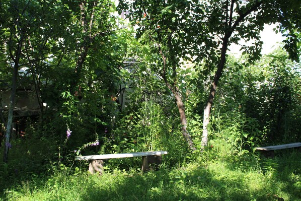 Parco della struttura