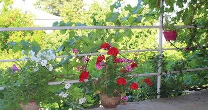 Vacation home Ekaterine