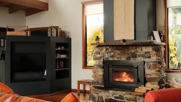Una televisión, una chimenea