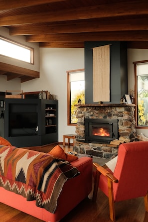 Una televisión, una chimenea