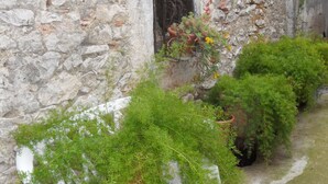 A stone wall with potted plants and a small garden area. - in a quiet position,close to sea 1 (ZADAR)