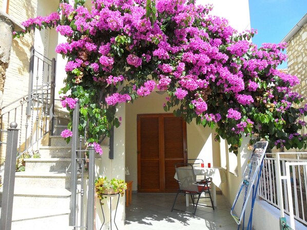 المنطقة المحيطة بالمنشأة