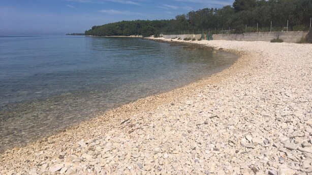 A pebble beach with clear water, a sandy shore, and a forested hill in the background. - in a quiet position,close to sea 1 (ZADAR)