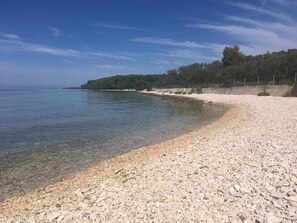 Ein Kiesstrand mit klarem Wasser, ein sandiger Uferstreifen und ein bewaldeter Hügel im Hintergrund.