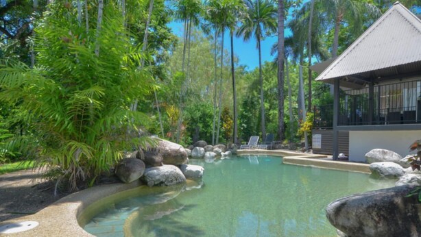 Una piscina rodeada de rocas y vegetación tropical, con un edificio de grandes ventanales y techo inclinado al fondo.