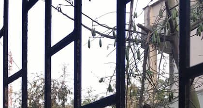 2 BHK, deux chambres à coucher privées dans un appartement dans le centre de Pune