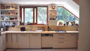 Fridge, oven, stovetop, dishwasher