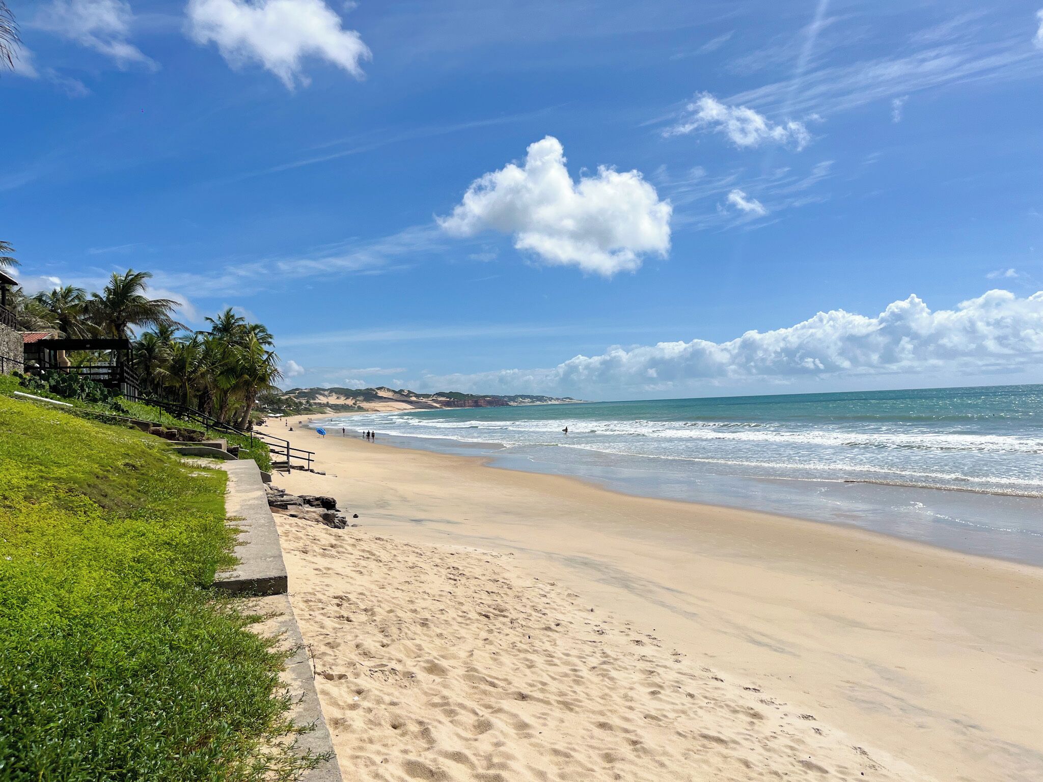 Una playa con un paseo de hormigón, palmeras y un cielo despejado.