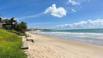 Una playa con un paseo de hormigón, palmeras y un cielo despejado.
