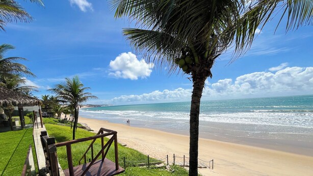 Una playa con un paseo de madera que lleva a la orilla, palmeras y una vista despejada del océano.