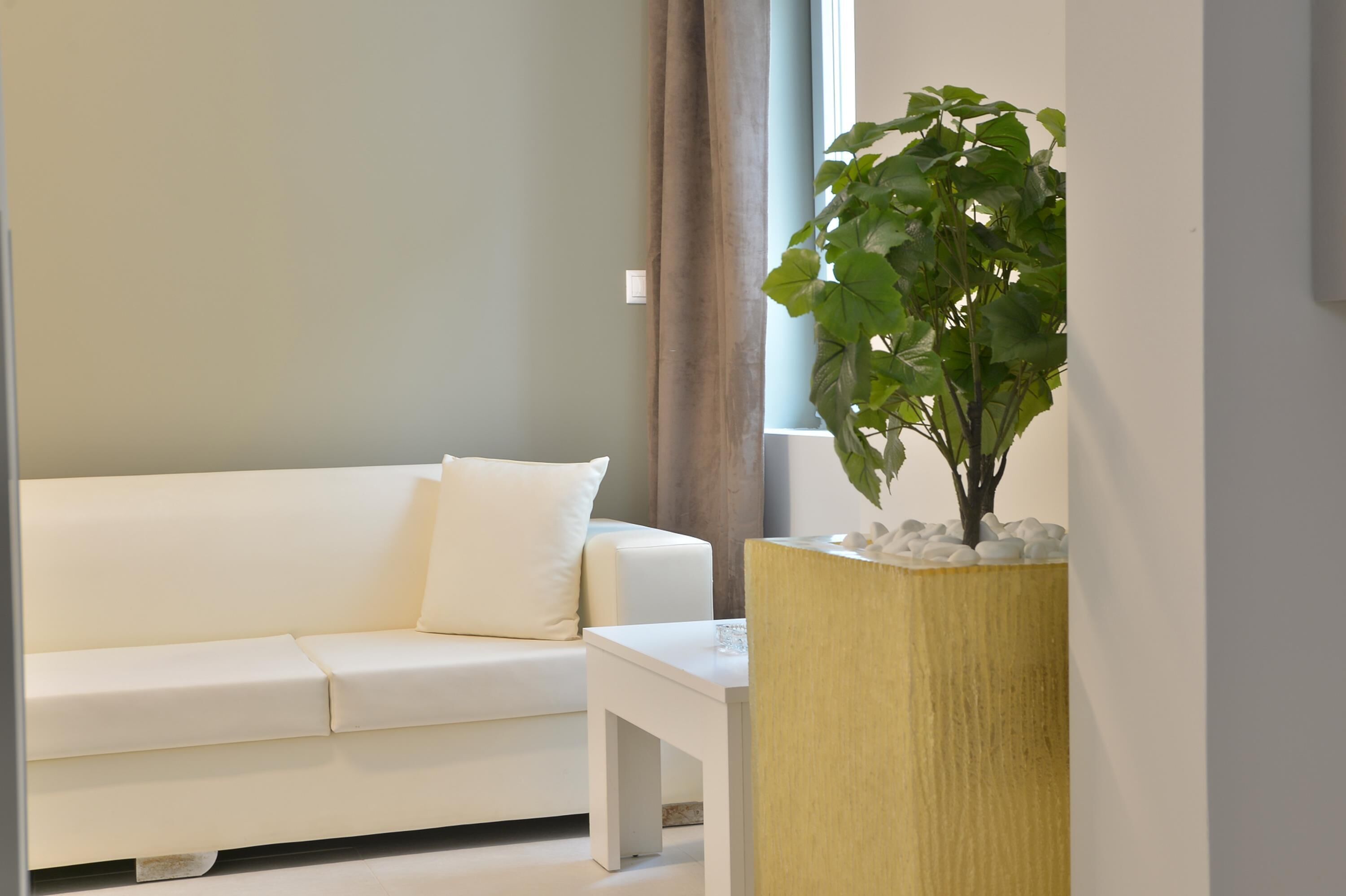 A modern living room with a white sofa, a small white table, and a large green plant in a textured planter.