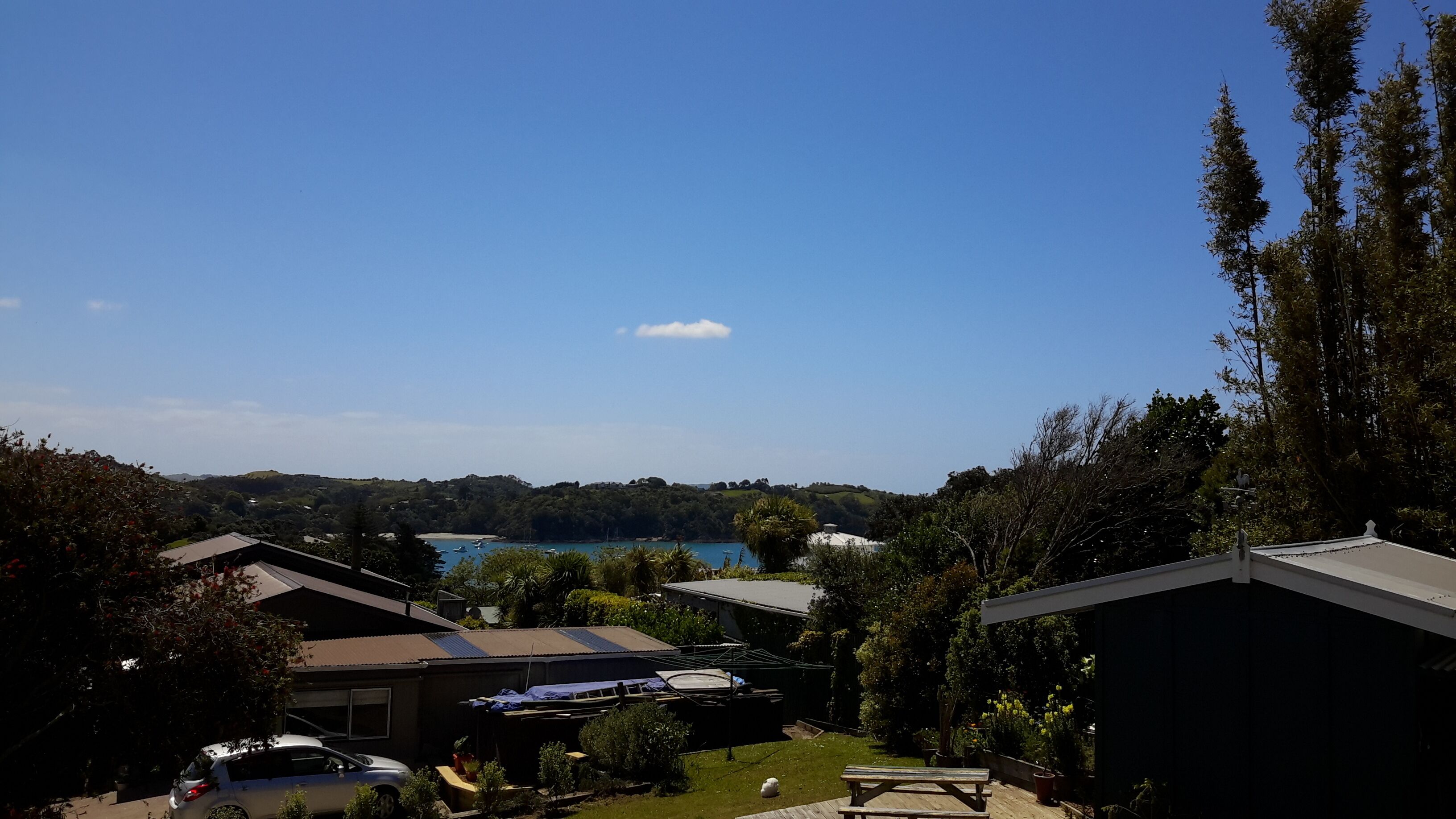 A residential area with houses, a car, and a view of a lake.