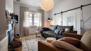 TV connectée, cheminée, lecteur de DVD, chaîne hi-fi