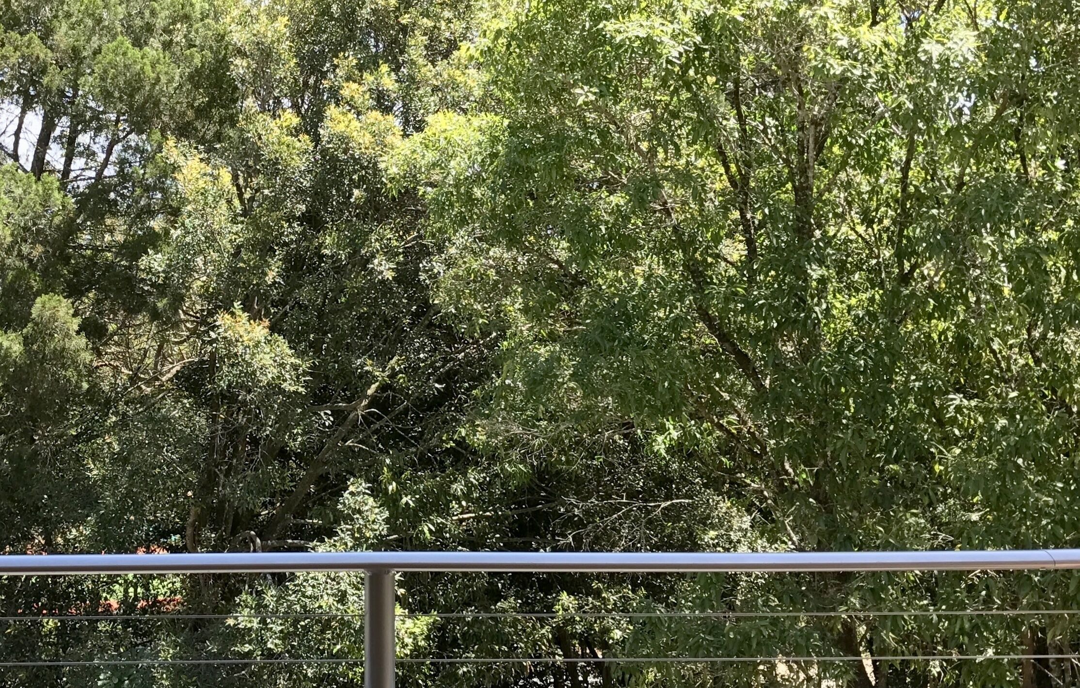 The Nest - 5 minute walk to Hasting Street and Noosa Main Beach — image 23