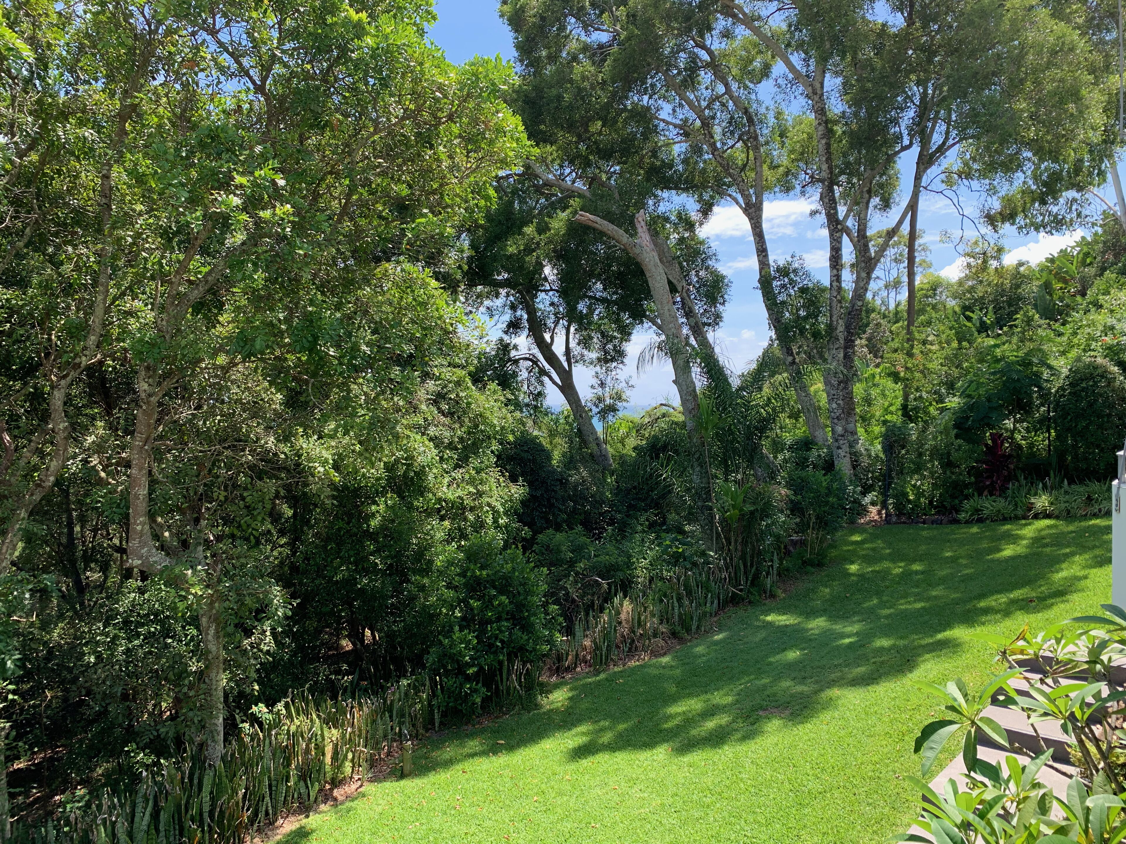 The Nest - 5 minute walk to Hasting Street and Noosa Main Beach — image 25