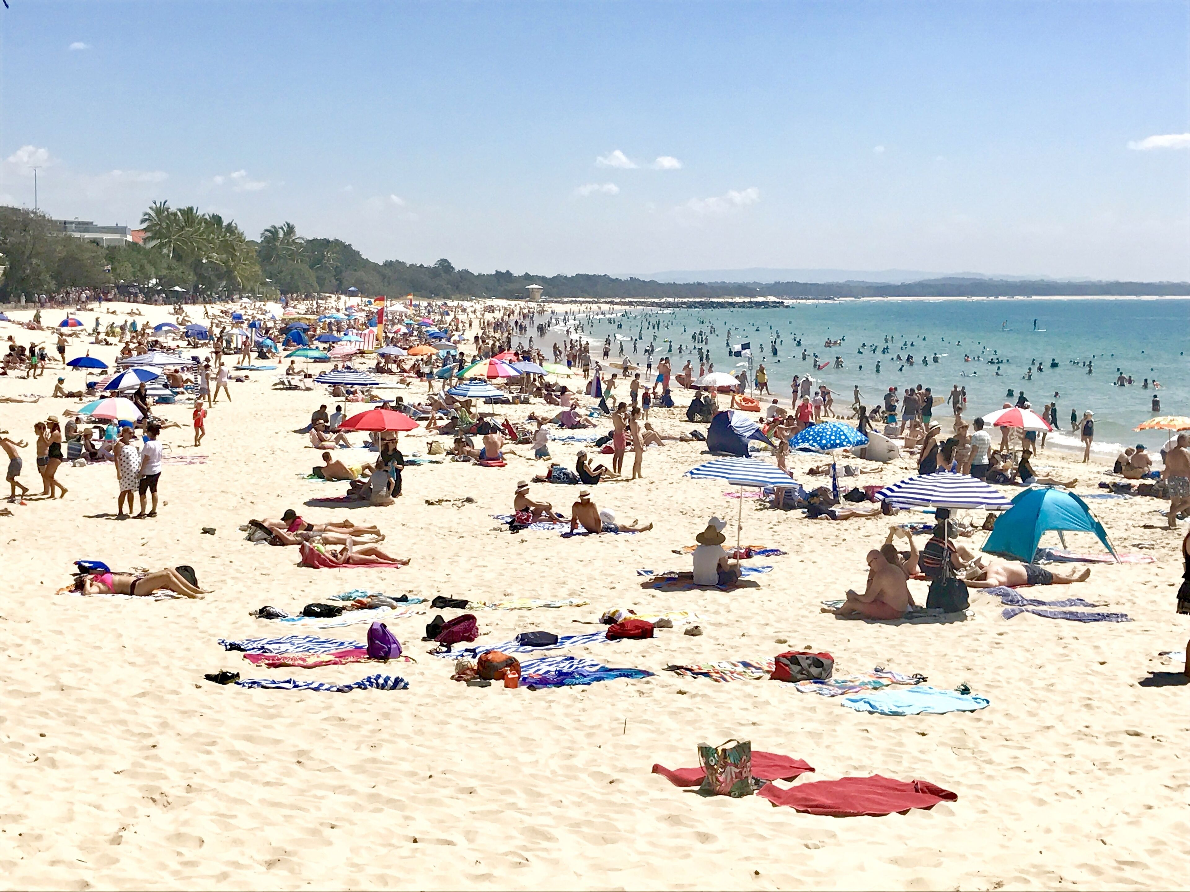 The Nest - 5 minute walk to Hasting Street and Noosa Main Beach — image 28